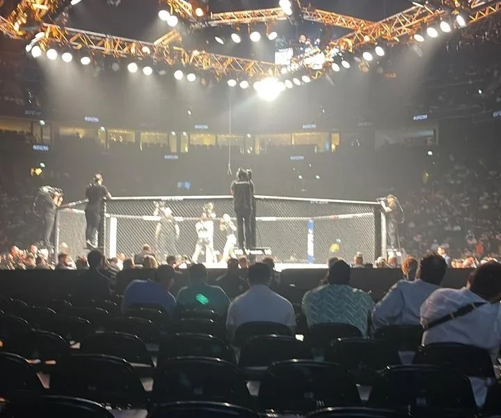 UFC в Баку: Жаркое Лето Боёв – Грядет Ли Эпоха Азербайджанского MMA?
